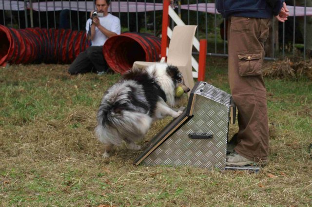 foire-haricots 2011-09-17et18